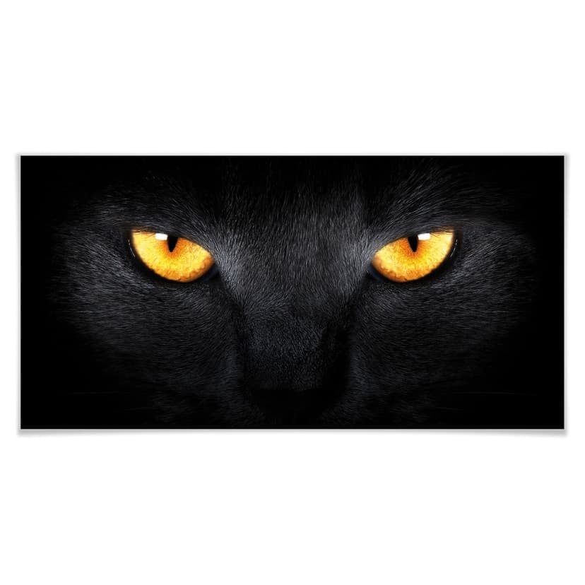 Poster - Occhi di gatto