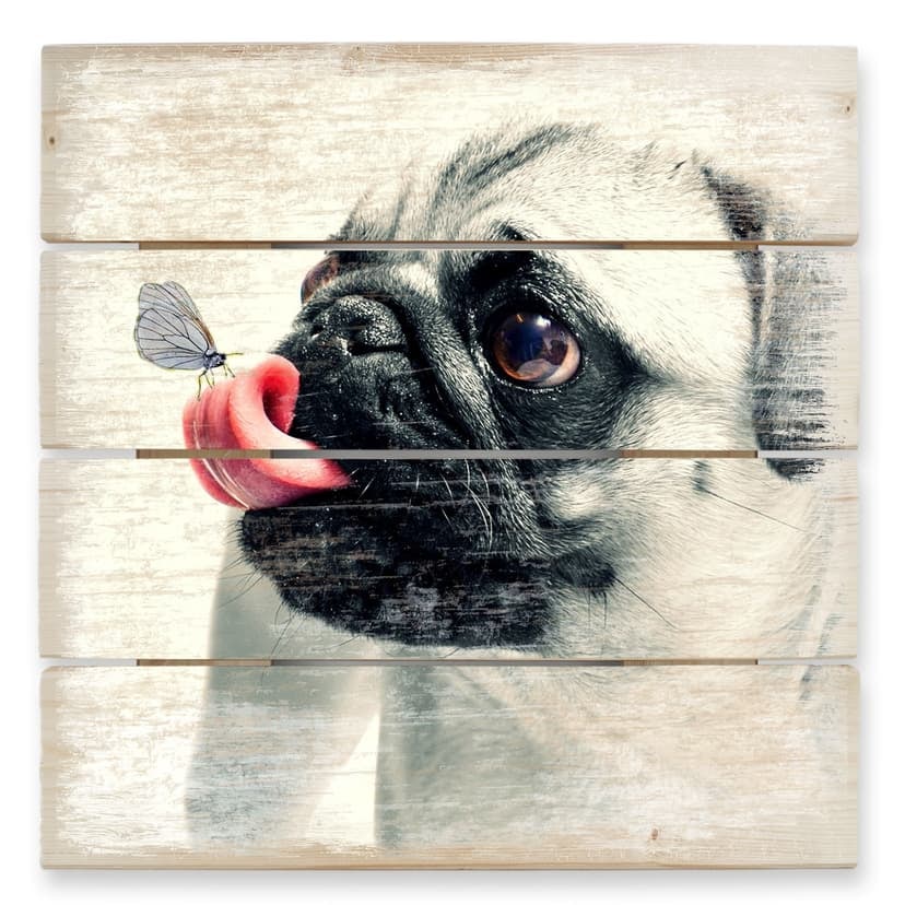 Stampa su legno - Affetto bestiale