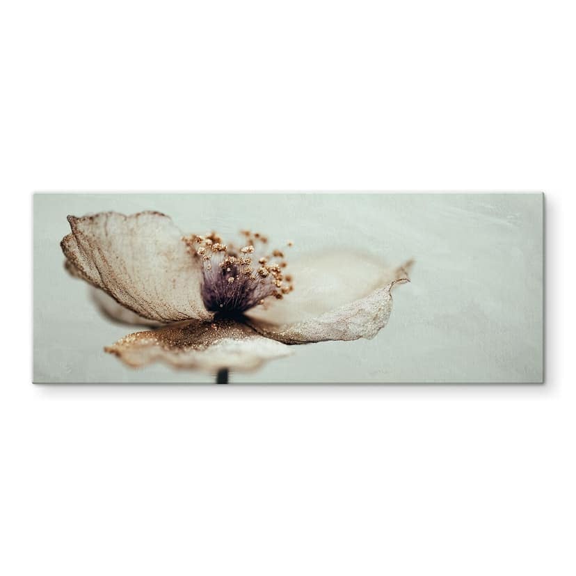 Stampa su vetro Delicati fiori secchi in beige | Arte floreale da parete per il soggiorno - Treechil