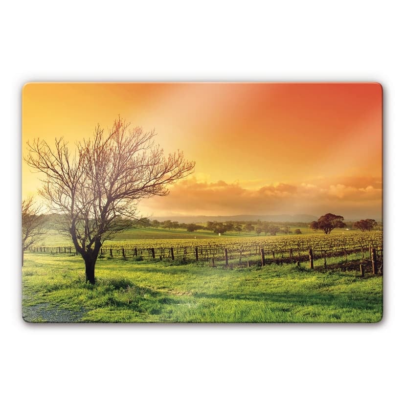 Paesaggio con vigneti