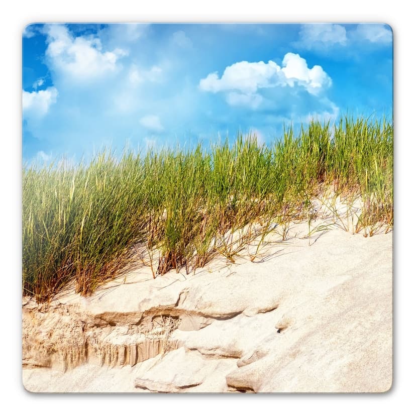Paesaggio con dune sulla costa del Mar Baltico - quadrato