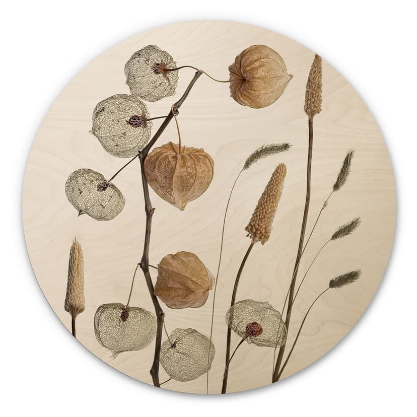 Stampa su legno Fiori di lanterna essiccati - Disher
