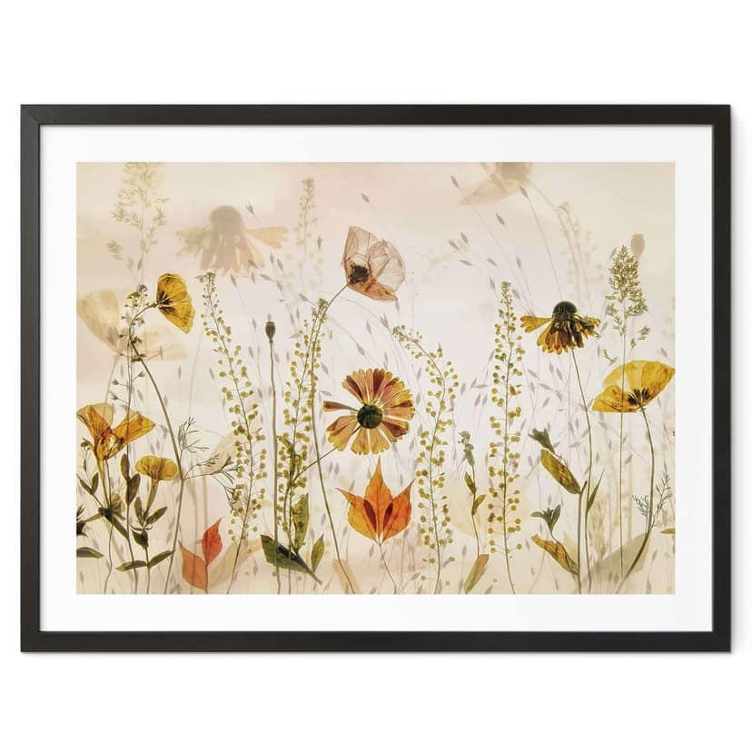 Poster Fiori di prato selvatico alla luce del sole - Talen