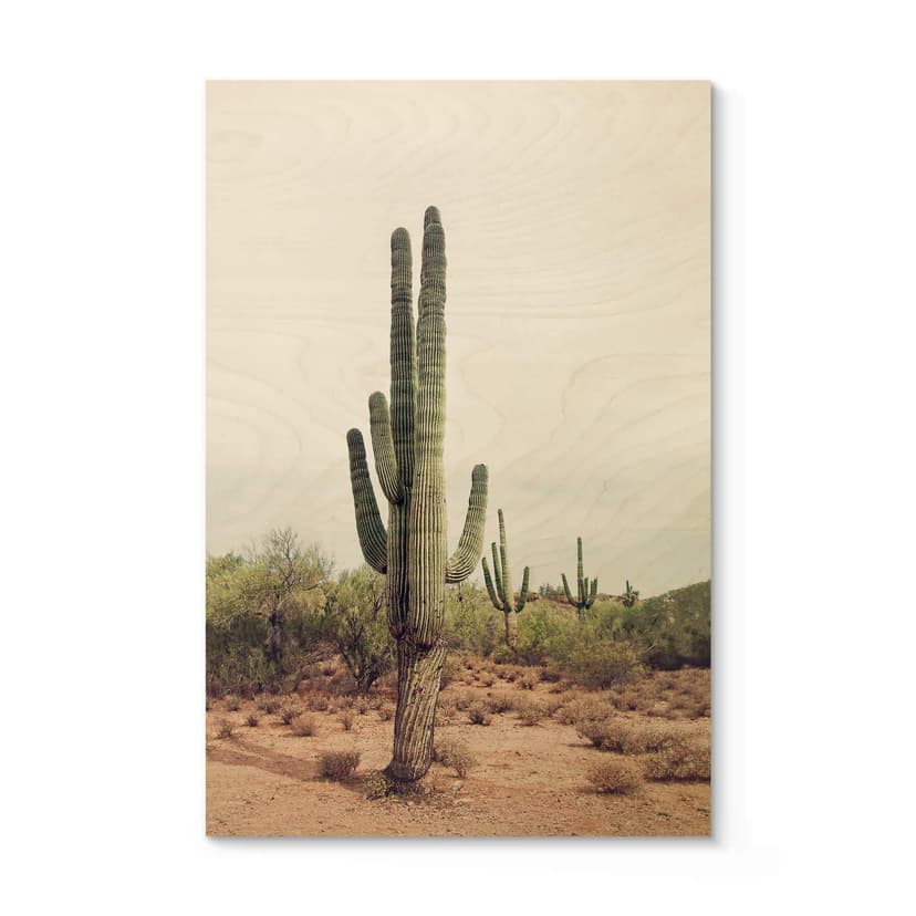 Stampa su legno Sisi & Seb - Cactus