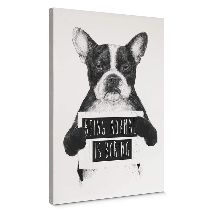 Stampa su tela Solti - Being normal is boring