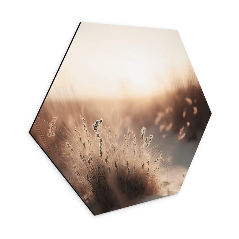 Esagono Alu-Dibond Treechild - Tramonto sulle dune