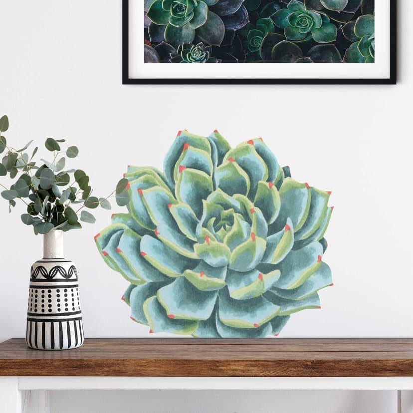 Adesivo murale - Echeveria