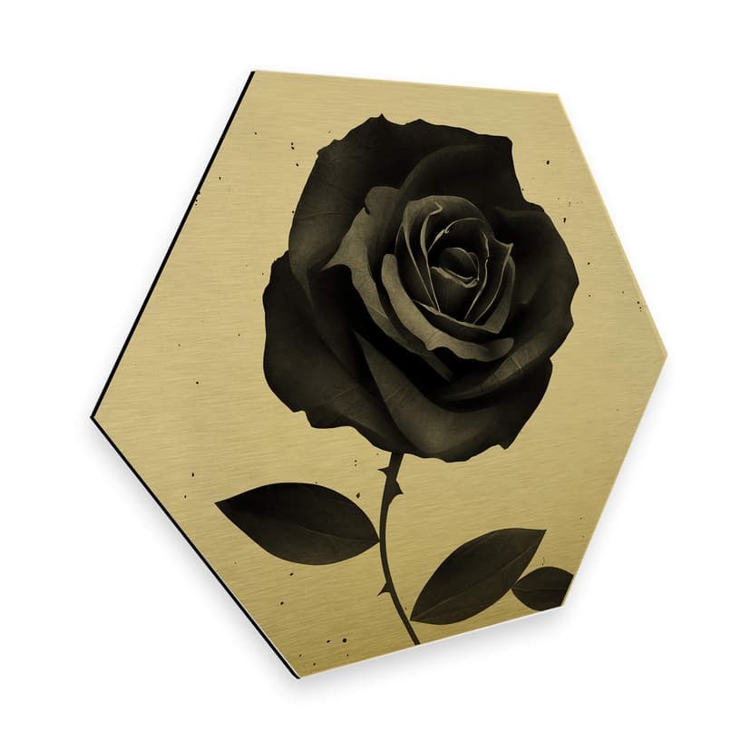 Esagoni Alu-Dibond Ireland - Fabric Rose