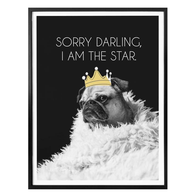 Poster Sorry Darling