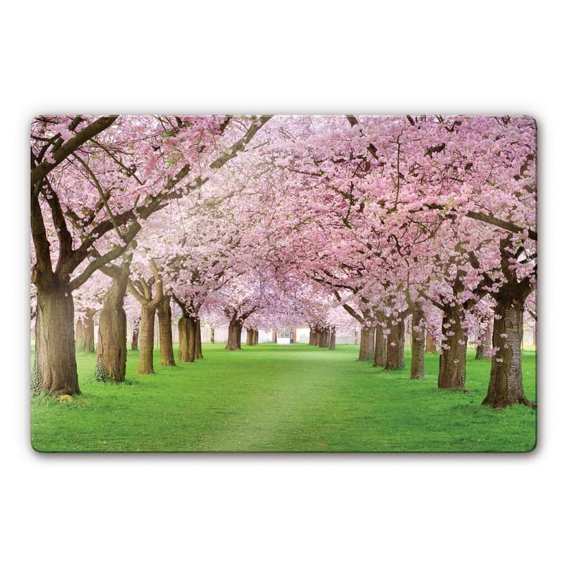Stampa su vetro - Primavera