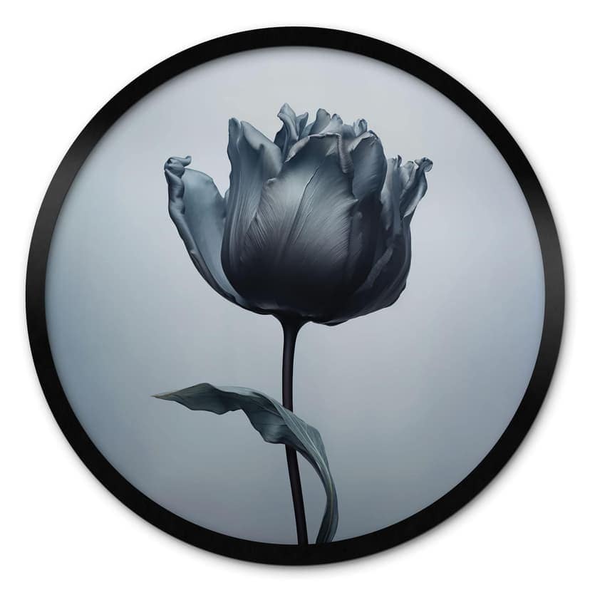 Poster Tulipano vellutato in nero - Paksoylu