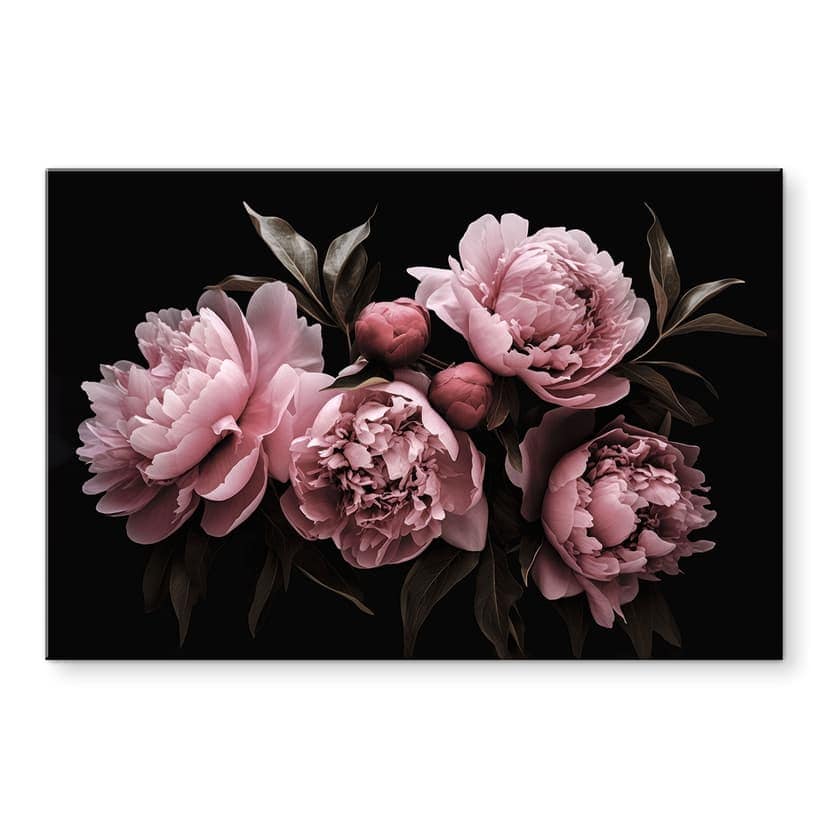Stampa su vetro acrilico Peonia rosa - Haase