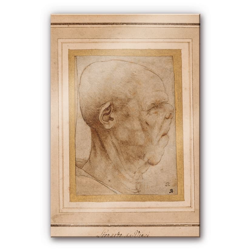 Stampa su vetro acrilico Da Vinci - Studio caricaturale di testa di uomo