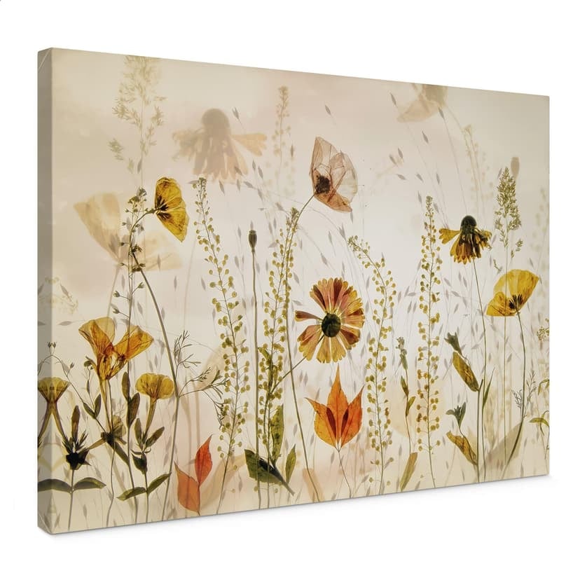 Stampe su tela Fiori di campo alla luce del sole - Talen
