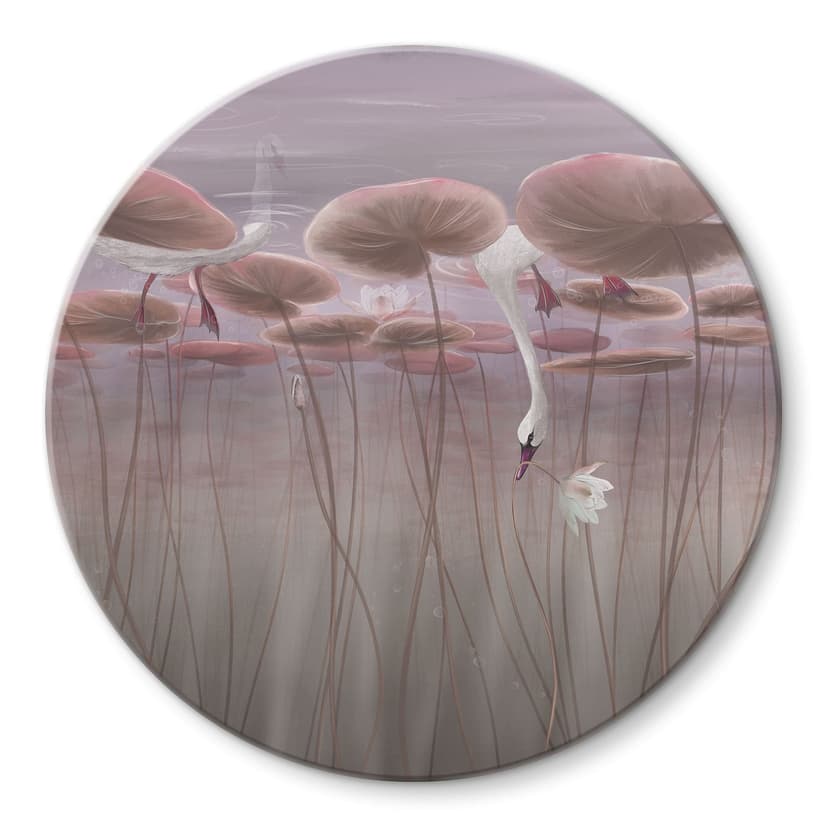 Stampa su vetro Fiori di loto con cigno in acqua in rosa scuro - Ms Tiff - Rotondo
