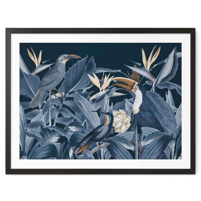 Poster Uccelli tropicali nella foresta di notte - Haase