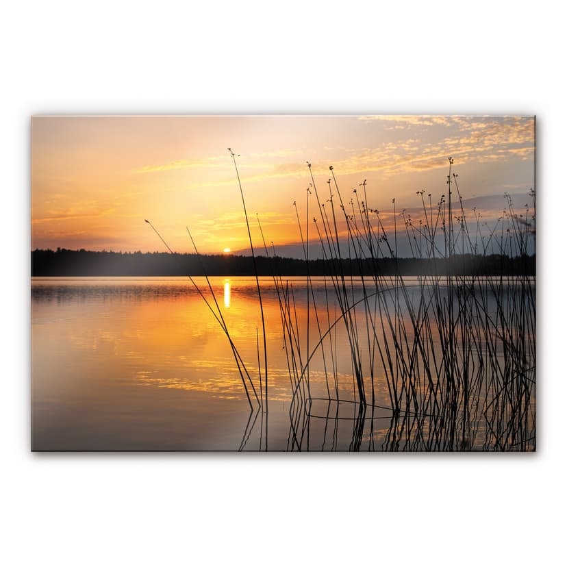 Stampa su vetro acrilico Tramonto al lago
