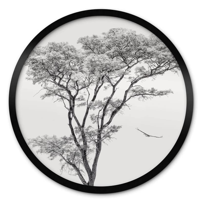 Poster Minimalistischer Baum in ruhiger Landschaft - Flour - Rund