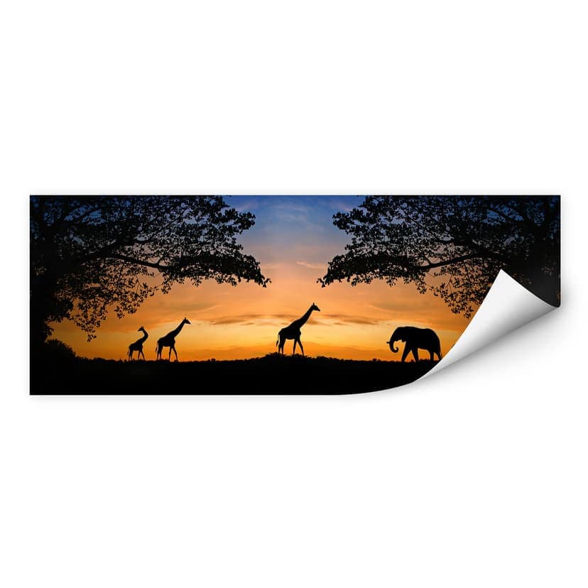 Wallprint - Tramonto africano