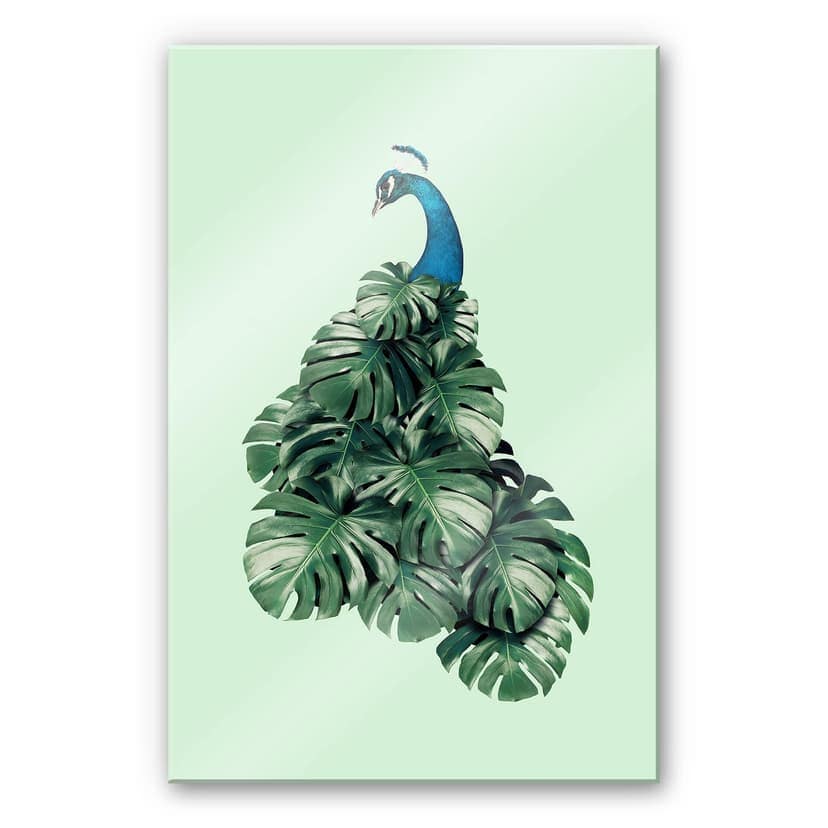 Stampa su vetro acrilico Loose - Monstera Bird