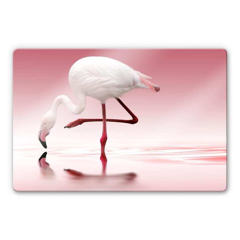Stampa su vetro - Doris Reindl - Pink Flamingo