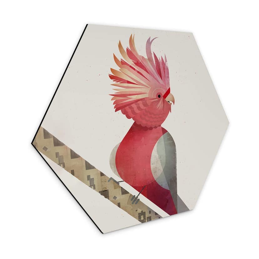 Esagono in Alu-Dibond Braun - Cacatua rosa