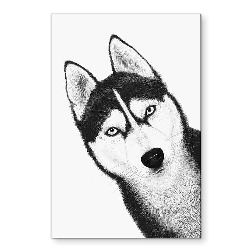 Murale Siberian husky - ritratto di cane - alluminio dibond - Korenkova