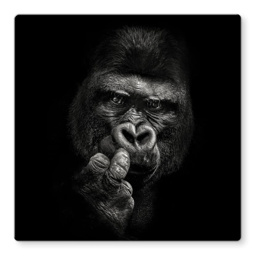 Stampa su vetro Meermann - Gorilla