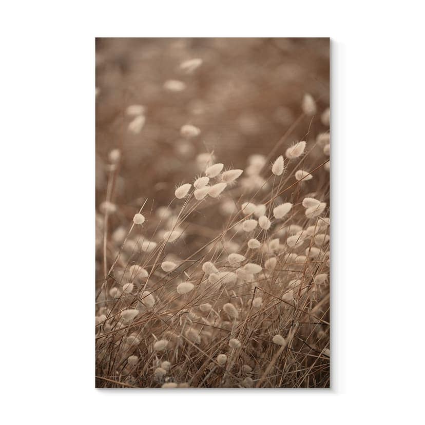 Stampa su legno Erbe delicate alla luce dell'autunno - Collins