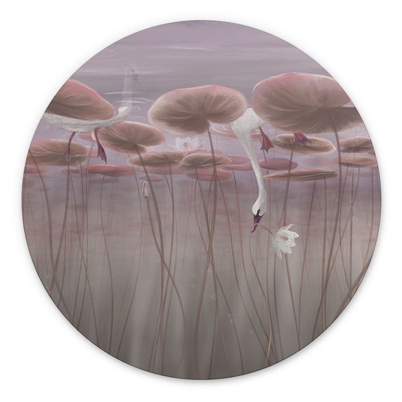 Stampe per pareti con fiori di loto e cigno in acqua in rosa scuro - Ms Tiff - Alu-Dibond Round