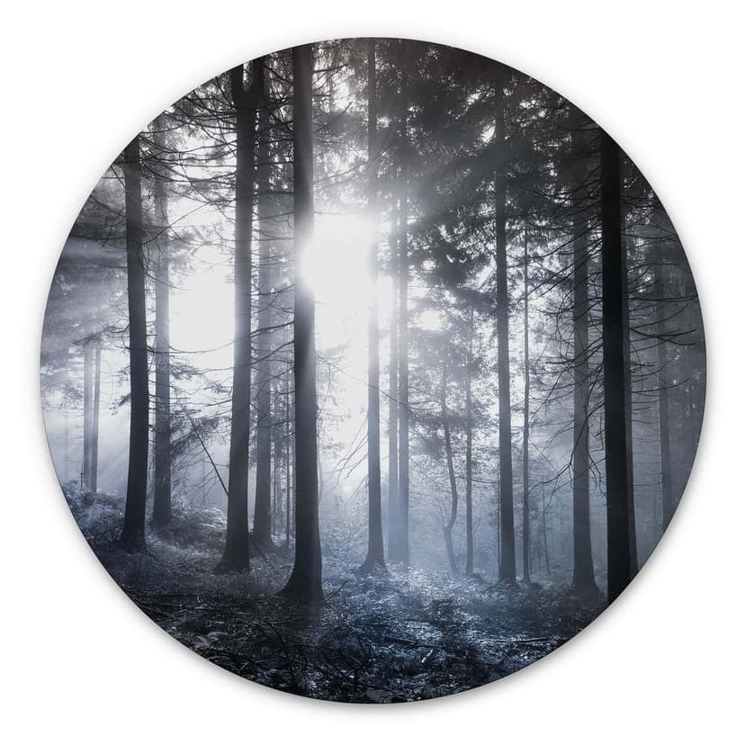 Alu-Dibond Nella foresta - tondo