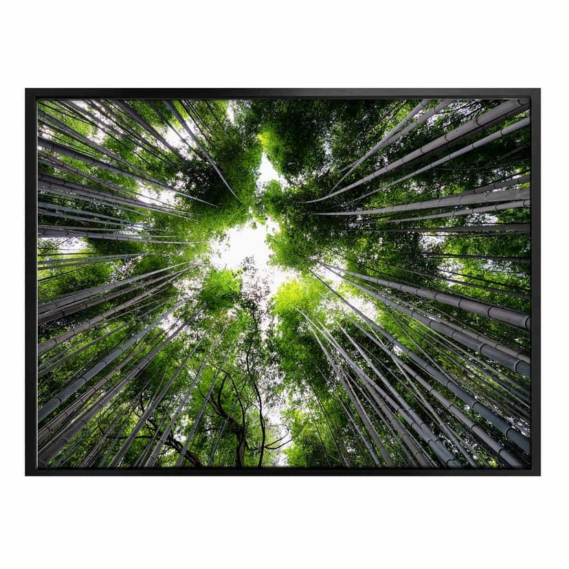 Poster Hugonnard - Foresta giapponese