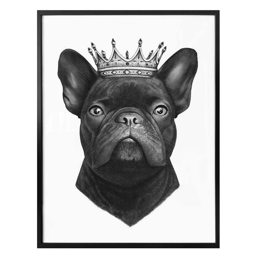 Poster Korenkova - King French Bulldog