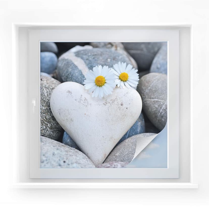 Pellicola adesiva per vetri - fiori dell'amore (quadrato)