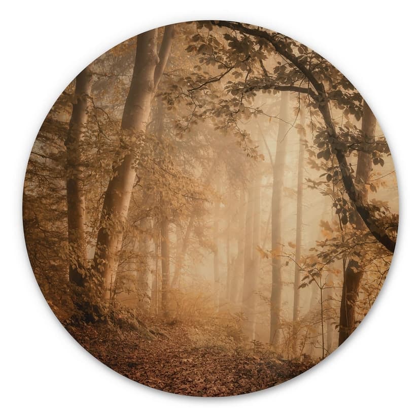 Stampa su legno Foresta nella nebbia del mattino - Maier