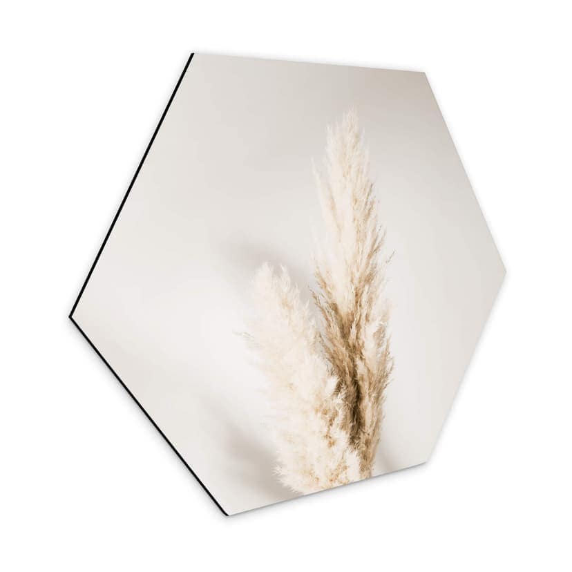 Esagoni Alu-dibond 1X Studio - Pampas grass