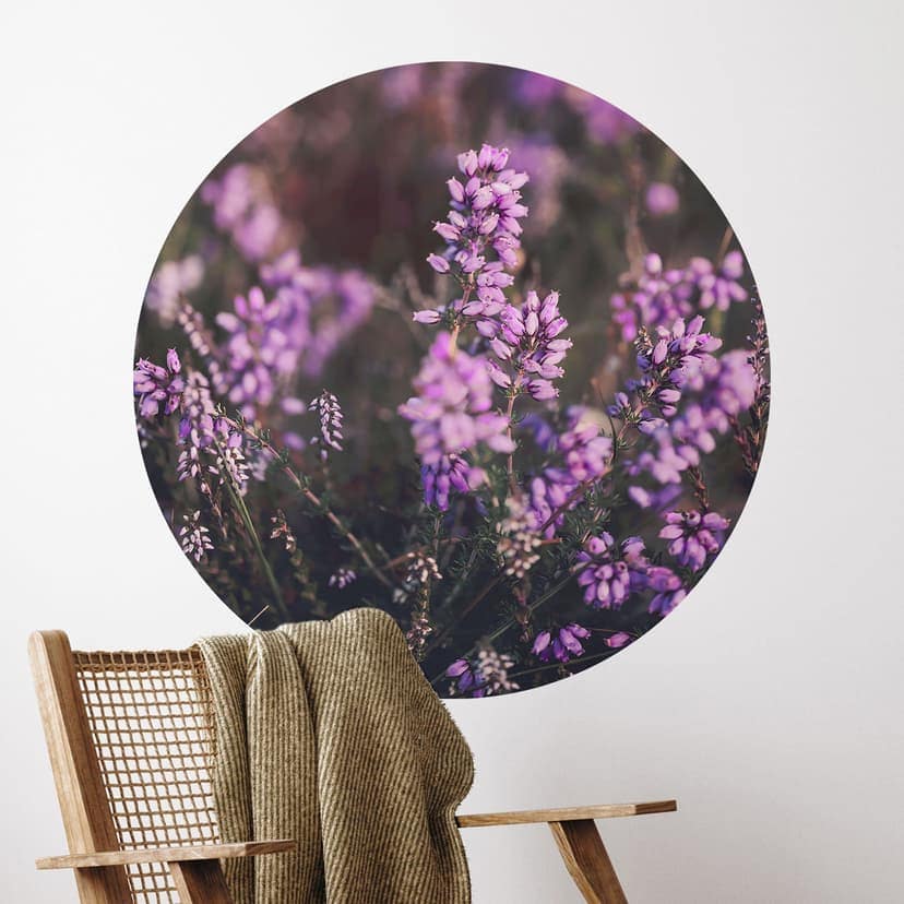 Adesivo murale Fiore di erica viola in luce calda | Adesivo murale fiori - Annie - Rotondo