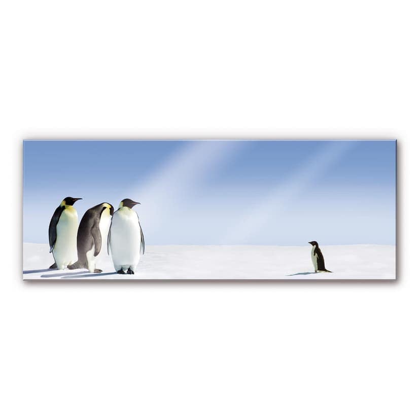 Stampa su vetro acrilico Pinguino