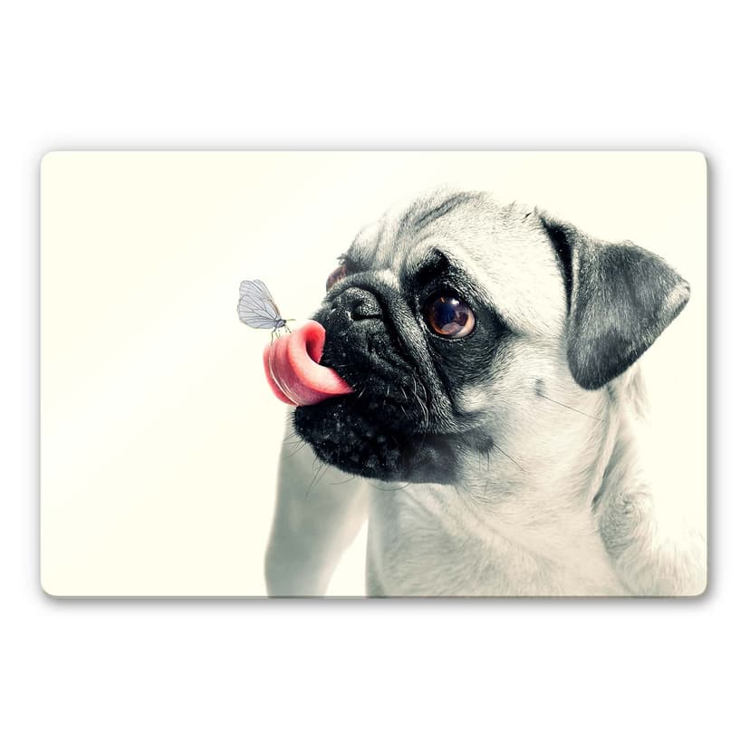 Affetto bestiale