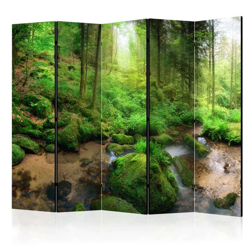 Schermo divisorio - Foresta umida , 5 pezzi - 225x172 cm