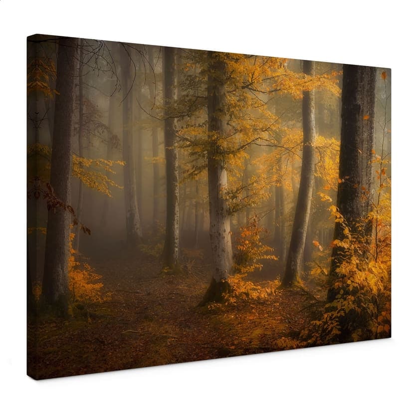 Stampe su tela Foglie d'oro in una foresta nebbiosa - Maier
