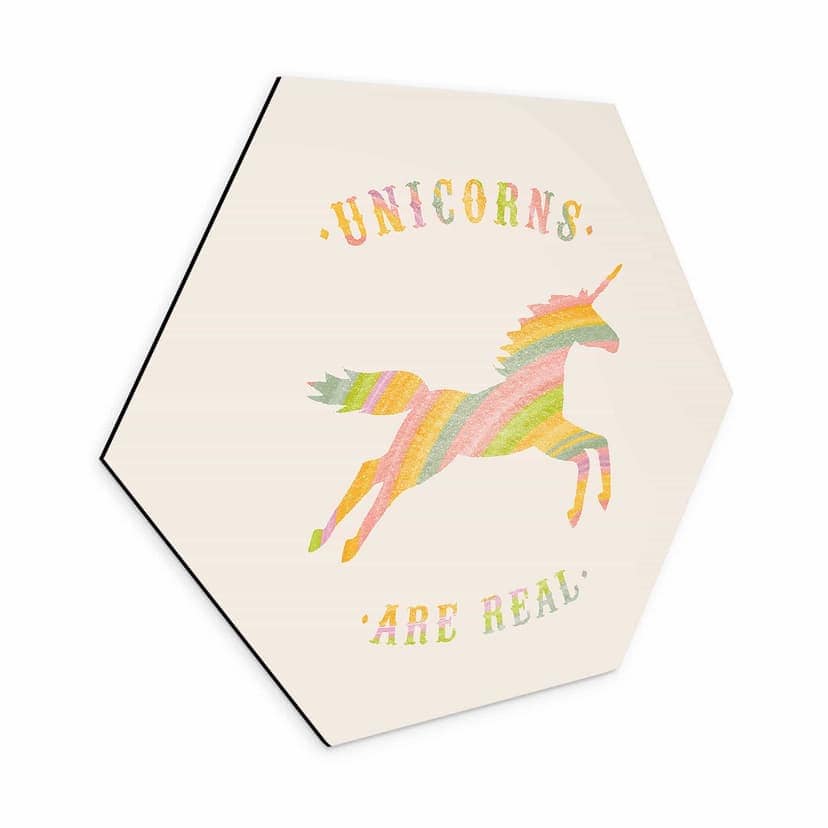 Esagono Alu-Dibond Bodart - Unicorns are Real