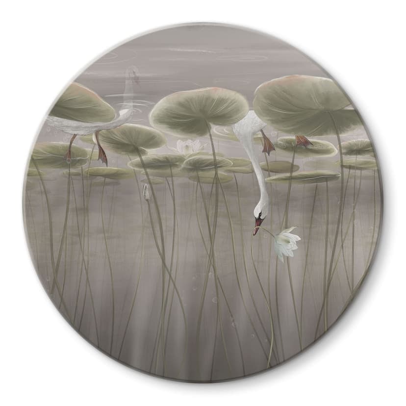 Stampa su vetro Fiori di loto con cigno in acqua in grigio - Ms Tiff - Rotondo