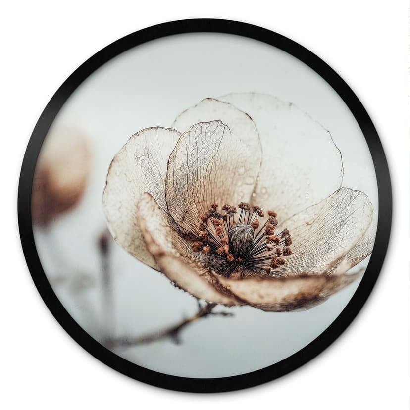Poster fiori secchi beige natura poesia - Treechild - Rotondo
