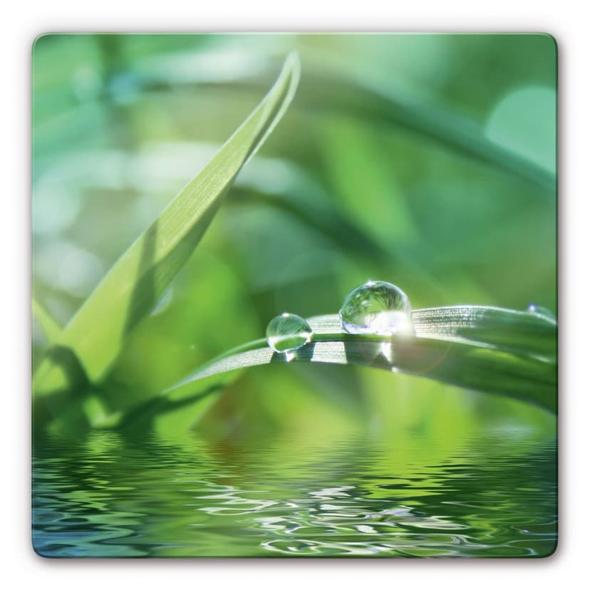 Stampa su vetro - Natura 6