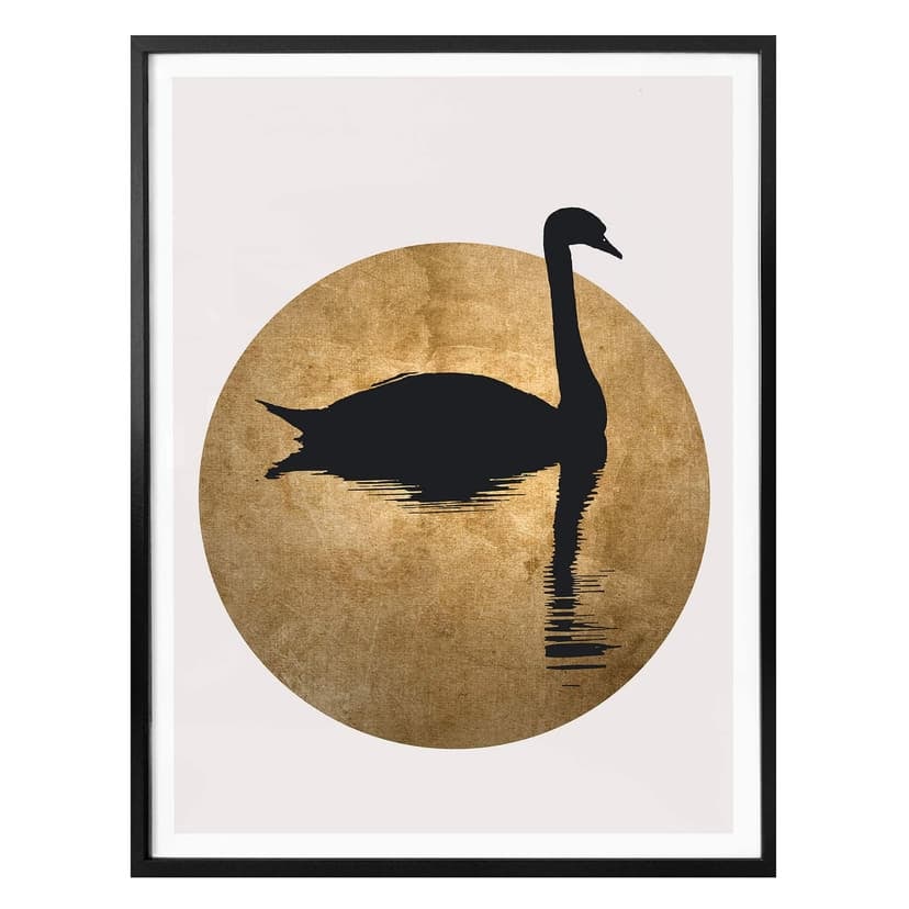 Poster Kubistika - Cigno