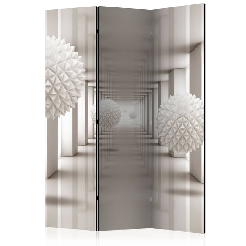 Divisorio per sala - Porta del futuro, 3 pezzi