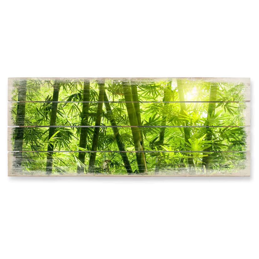Stampa su legno - Luce del sole nel bosco di bambù - panoramica