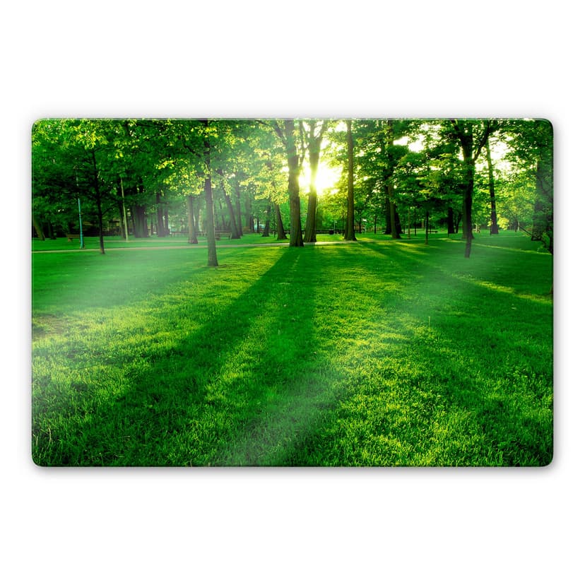 Stampa su vetro - Parco verdeggiante