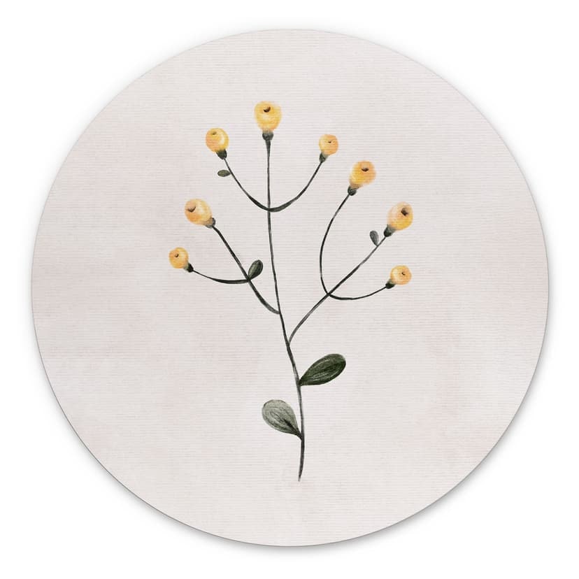 Stampe per pareti Pianta delicata con fiori gialli - Goed Blauw - Alu-Dibond Round